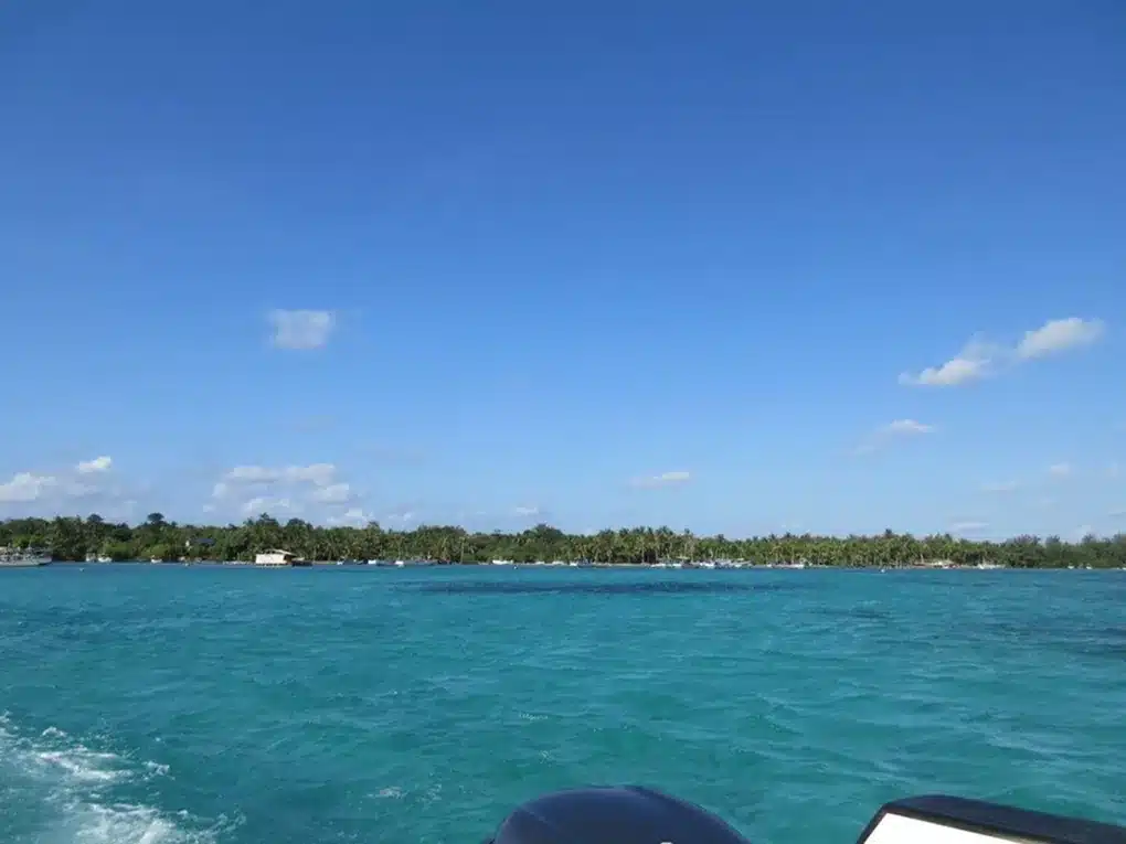 imgi_3_IMG_7441-1024x768-2 (7)